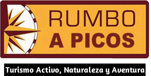 BeFunky BeFunky logopicos