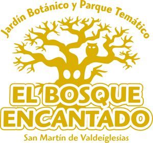 LOG PARQUE FONDO TRANSPARENTE